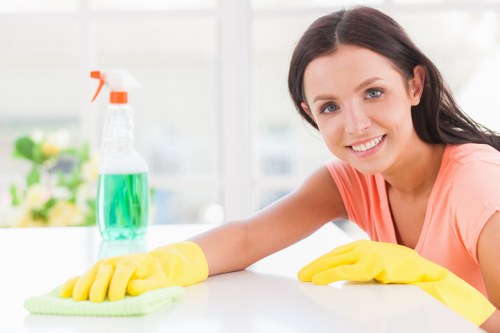 A professional cleaner preparing a one-off cleaning service in a Hampstead home