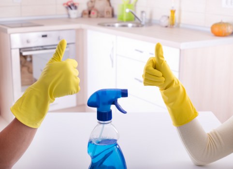 Carpet cleaning service terms and conditions with booking details
