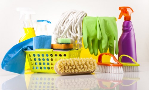 Domestic cleaning service for a Hampstead period home interior