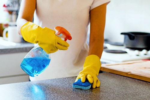 Professional house cleaning service in a Hampstead period home