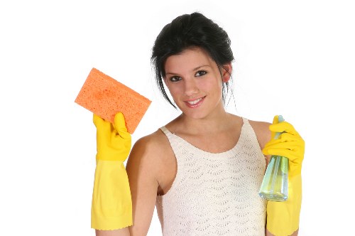 Deep cleaning of pet accidents on carpet in Hampstead apartment