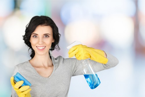 Deep cleaning a stone or tiled floor in a Hampstead property