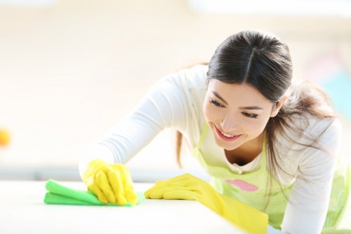 Specialist stain treatment for carpet in a Hampstead property