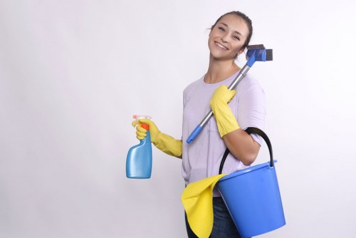 Accessibility support request section for carpet cleaners
