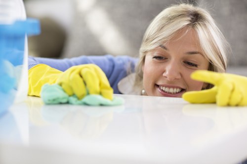 Bathroom deep cleaning for a Hampstead flat