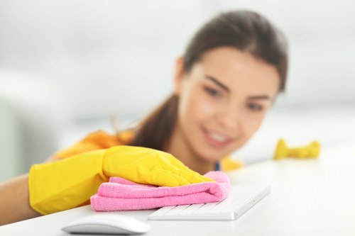 Local window cleaning service working near Hampstead