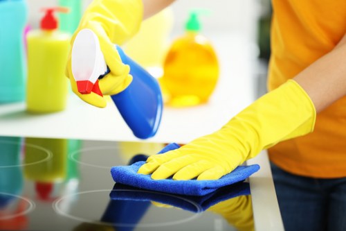Professional cleaners working in a Hampstead residence