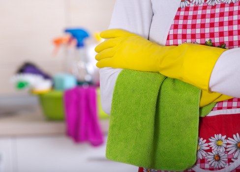 Professional Carpet Cleaners Hampstead service focused on safety and protection