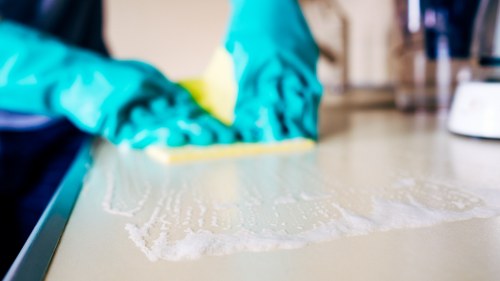 Skilled Hampstead carpet cleaner working on different carpet fibers