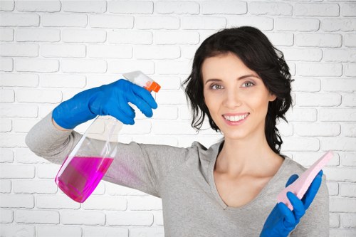 Regular domestic cleaning for a Hampstead apartment interior