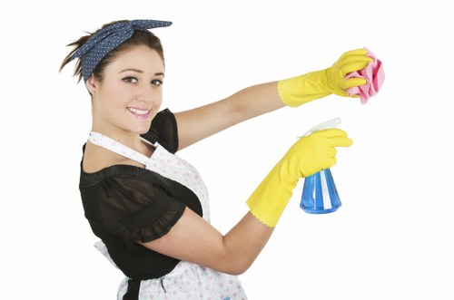 Specialist cleaning process for delicate and handmade rugs in Hampstead