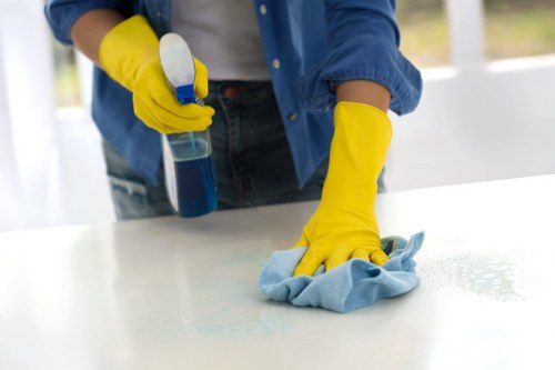 Inclusive carpet cleaning website accessibility commitment in Hampstead