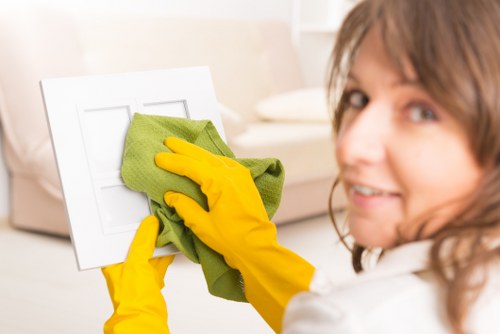 Local curtain cleaning process for a period property in Hampstead