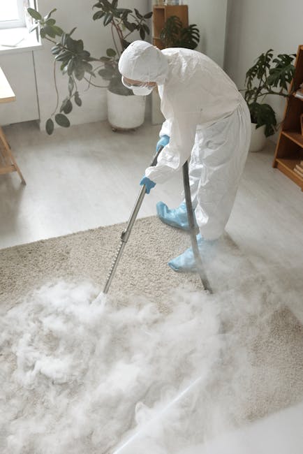 A person dressed in full personal protective equipment, including a white suit, gloves, mask, and shoe covers, is performing surface cleaning on a light-colored, plush carpet in a well-lit living room. The individual is using a steam cleaning or deep cleaning device that produces steam or cleaning vapors visible on the carpet. The room features natural light coming through a window on the left, and the background includes potted plants, a wooden side table, and a radiator. The setting appears tidy and well-maintained, emphasizing professional domestic cleaning services, such as sanitisation and deep carpet cleaning, provided by Carpet Cleaners Hampstead at Hampstead Heath.